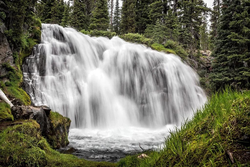 Dog-Friendly Bend, Oregon: Where to Eat, Stay, Play and Walk