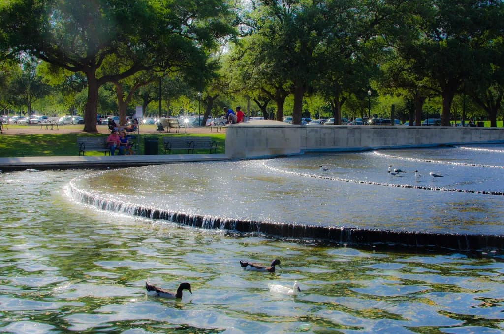 Bill Archer Dog Park Houston: Plan Your Visit