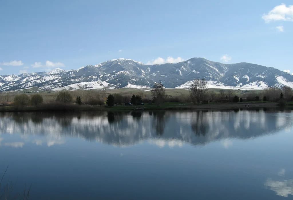 Dog-Friendly Bozeman, MT: Where to Stay & Play