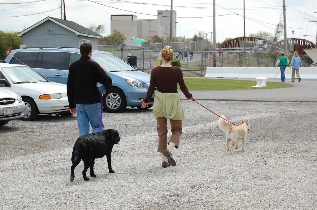 Dog-Friendly Cleveland: Where to Eat, Stay and Play