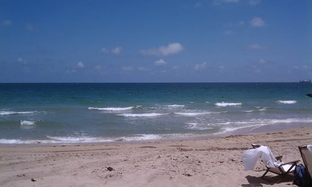 Dog-Friendly Beaches Fort Lauderdale: Canine Rules & Access