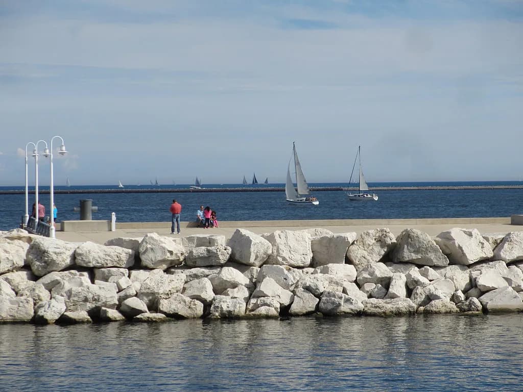 Dog-Friendly Beaches Milwaukee: Where to Go & Rules