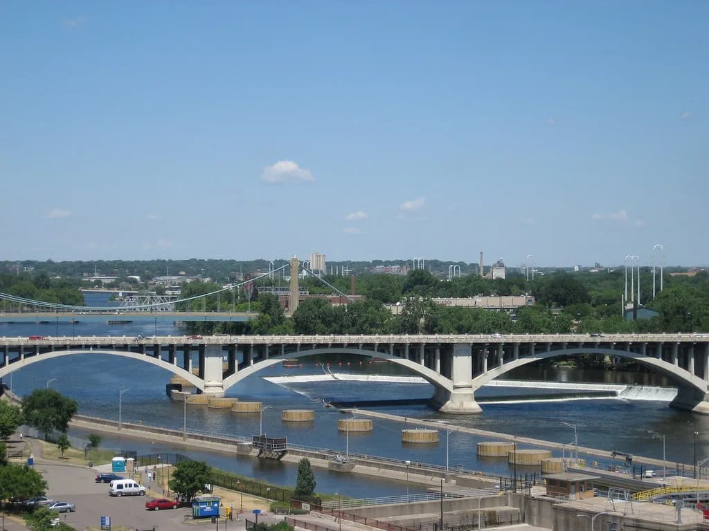Dog-Friendly Beaches in Minneapolis: Where Dogs Can Go