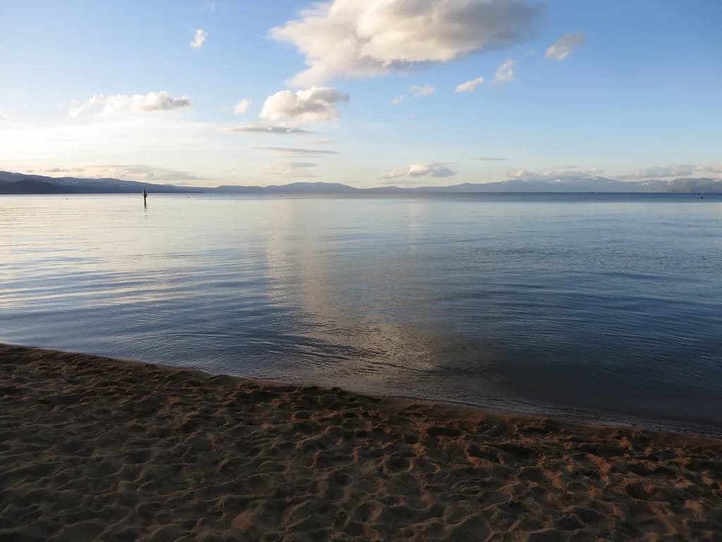Dog-Friendly Beaches Near Sacramento: Where Dogs Can Swim