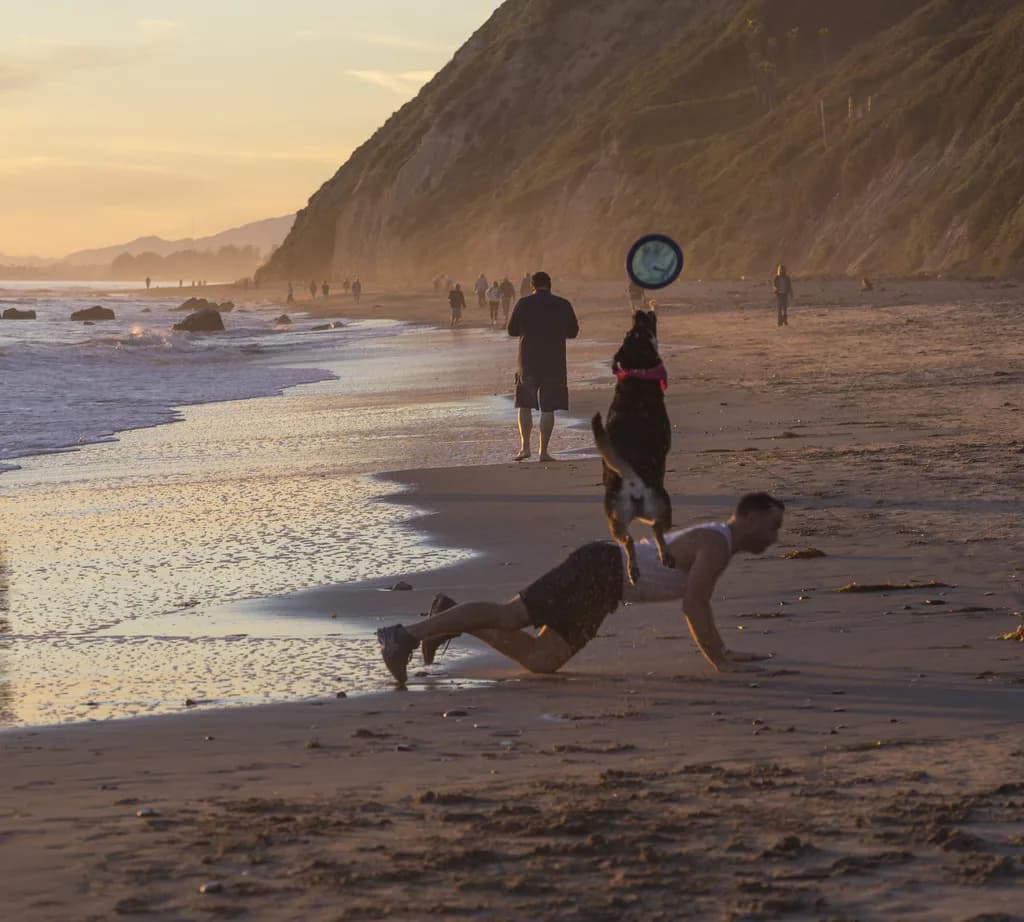 Dog-Friendly Beaches Santa Barbara: Where to Go Off-Leash