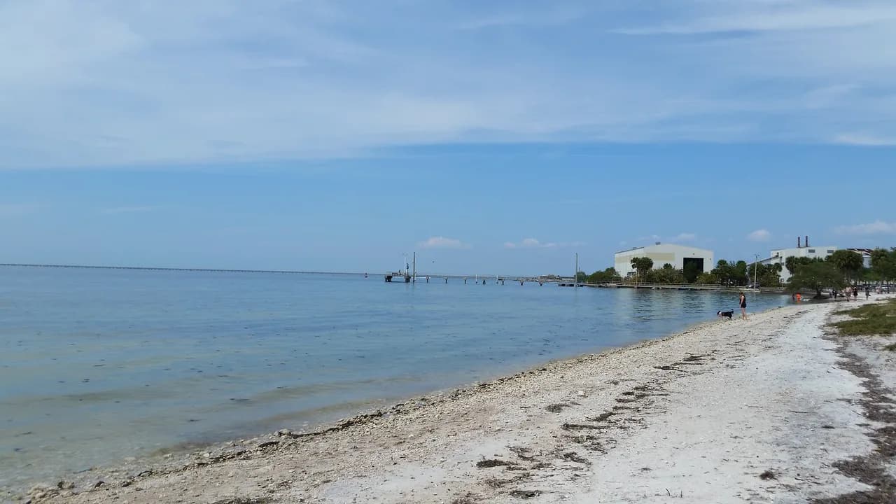 Dog-Friendly Beaches Tampa: Off-Leash Spots & Leash Rules