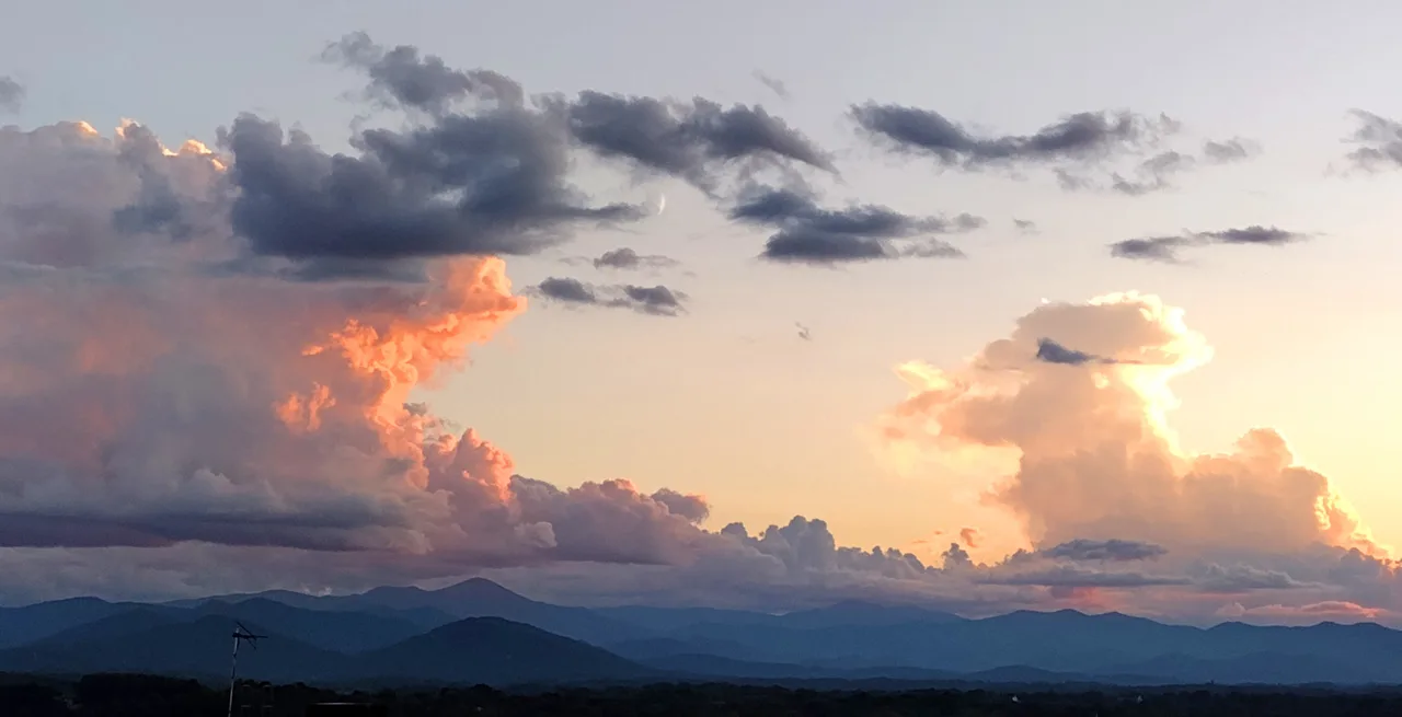 Dog-Friendly Breweries in Asheville: Patios & Rules Guide