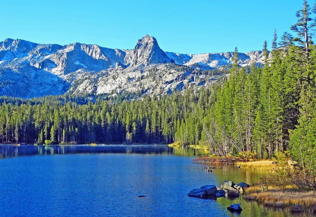 Dog-Friendly Camping Mammoth Lakes: Where to Stay & Hike