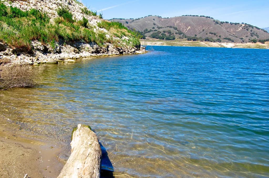 Dog-Friendly Camping Santa Barbara: Where to Stay