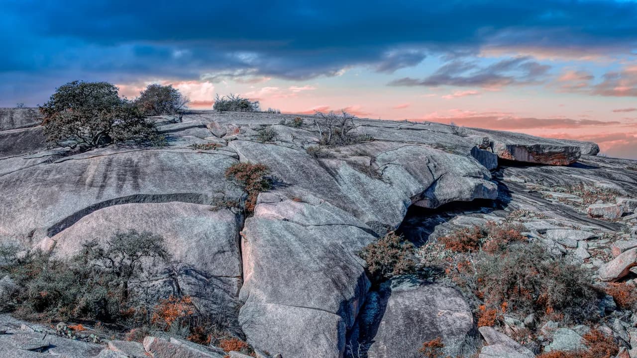 Dog-Friendly Day Trips From Dallas: Parks, Trails and Towns
