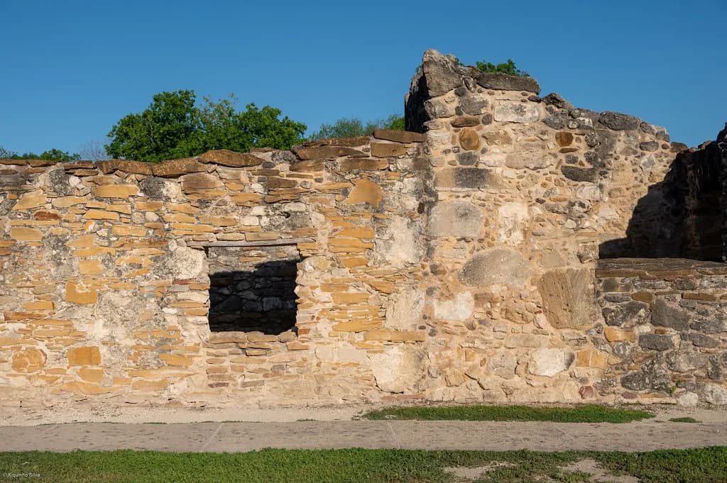 Dog-Friendly Day Trips From San Antonio: Where To Go