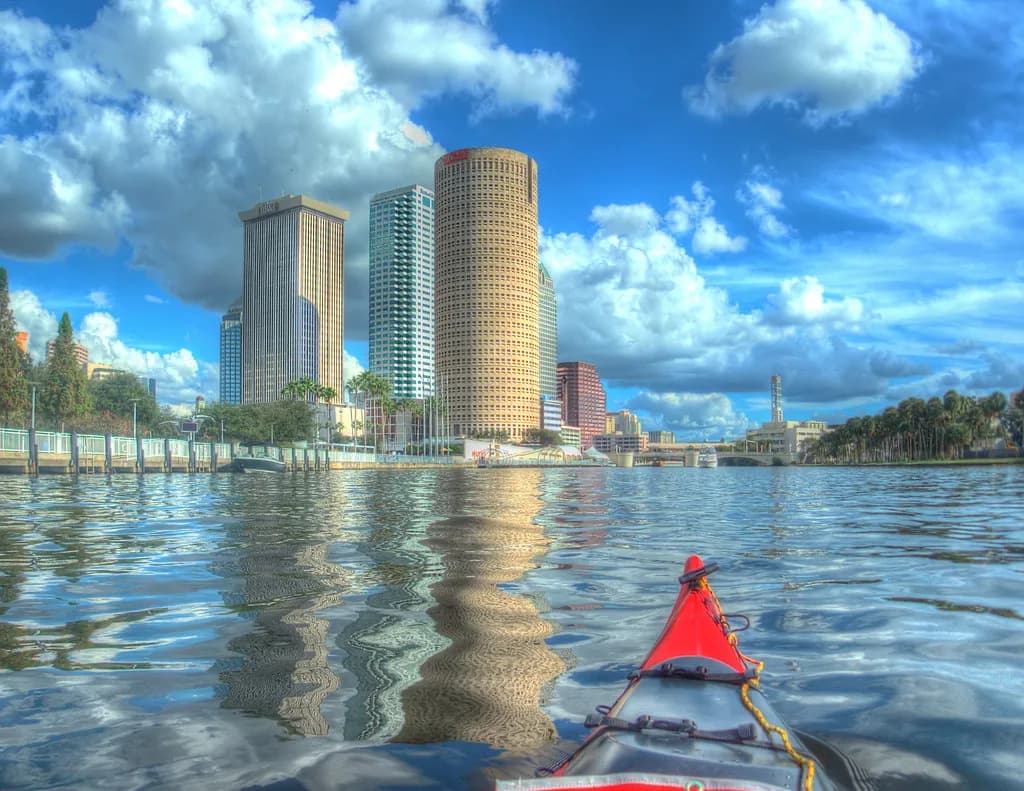 Dog-Friendly Events Tampa: What to Plan For