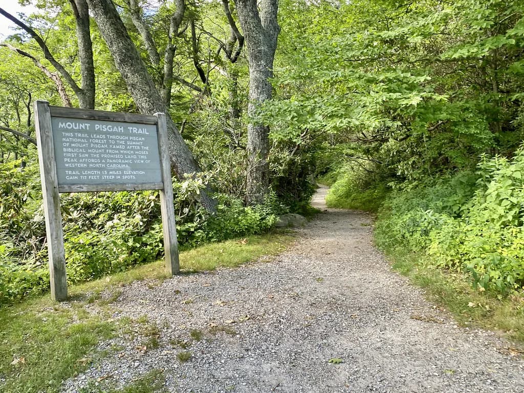 Dog-Friendly Hikes in Asheville: Pick the Right Trail