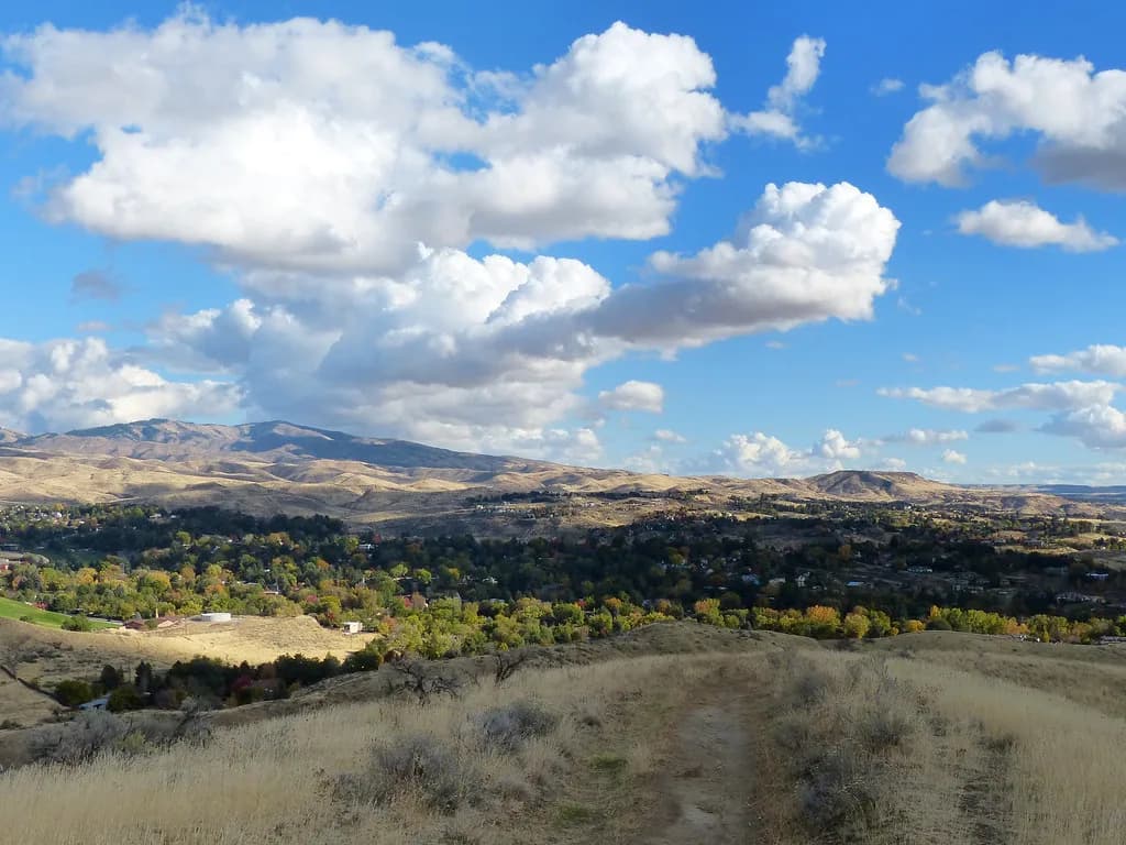 Dog-Friendly Hikes in Boise: Where to Go and Know Before