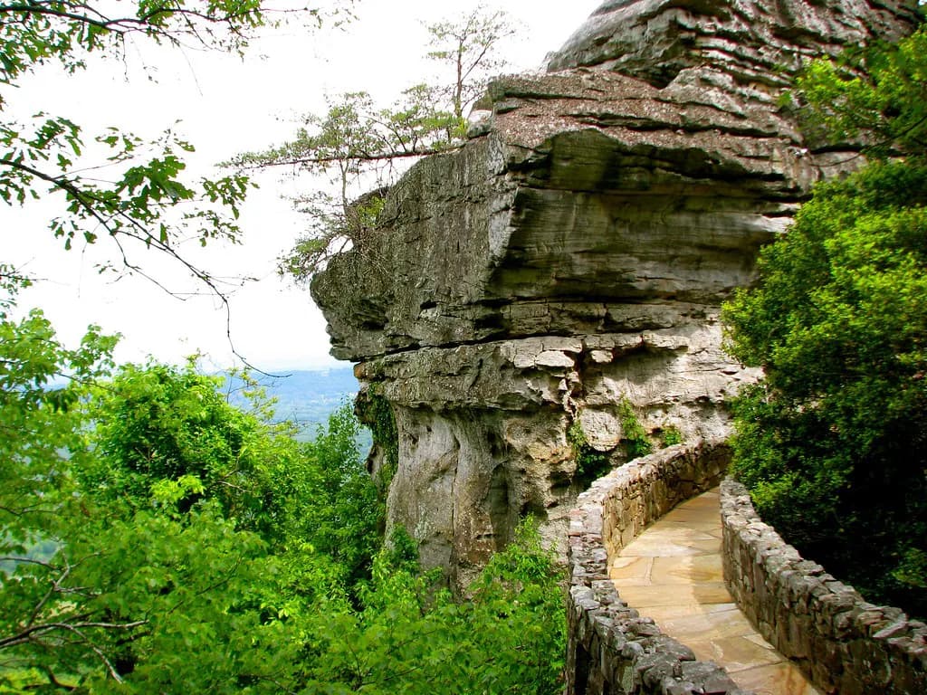 Dog-Friendly Hikes Chattanooga: Trails & Leash Rules