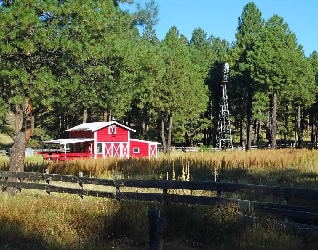 Dog-Friendly Hikes Flagstaff: Trails, Leash Rules & Packing
