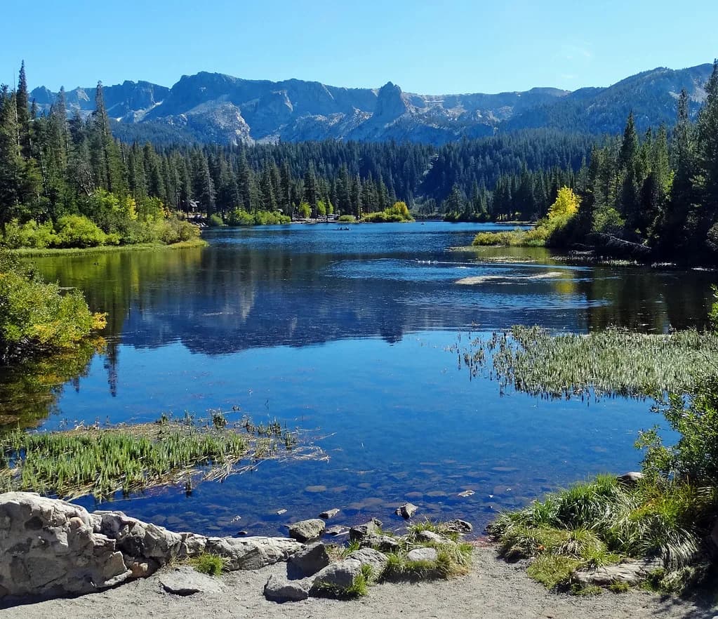 Dog-Friendly Hikes in Mammoth Lakes: Trail & Lake Guide