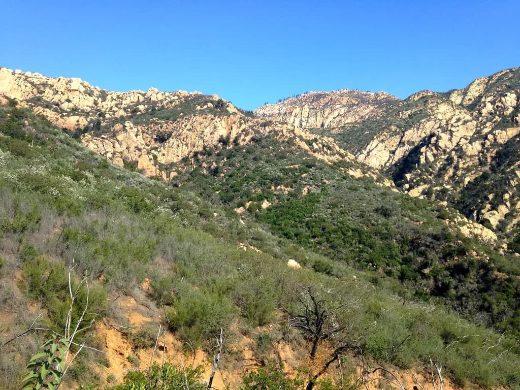 Dog-Friendly Hikes Santa Barbara: Pick Trails, Leash Rules