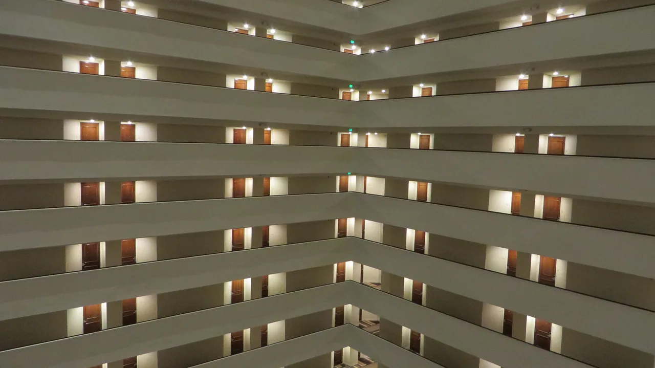 Dog-Friendly Hotels Houston: Fees, Limits and Rules