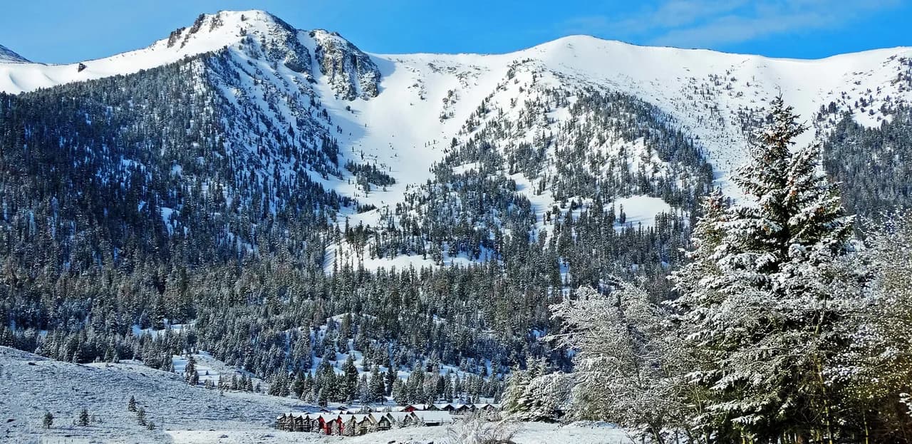 Dog-Friendly Hotels in Mammoth Lakes: Where to Stay