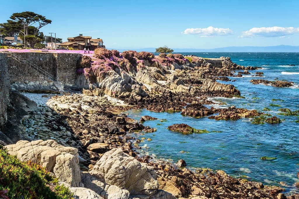 Dog-Friendly Hotels Monterey: Pet Fees & Best Areas
