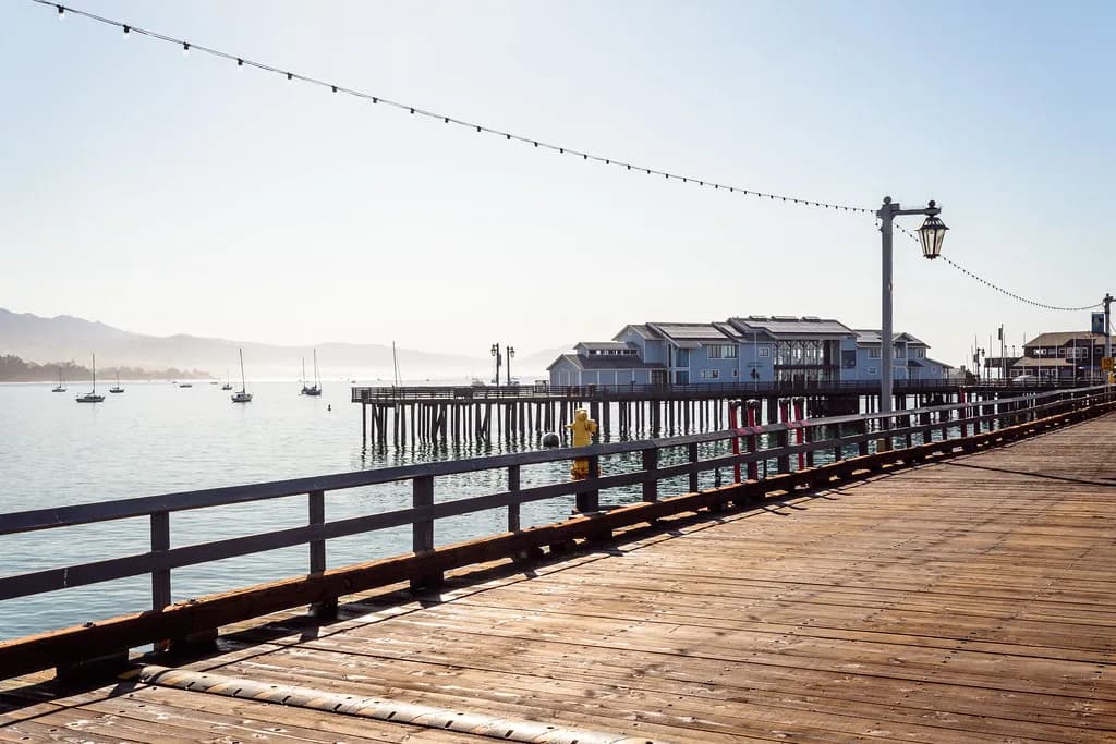 Dog-Friendly Hotels in Santa Barbara: Pet Fees & Picks