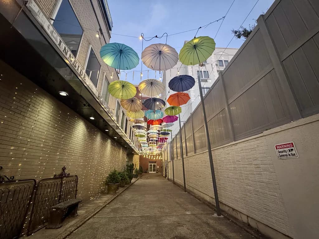 Dog-Friendly Restaurants Chattanooga: Patios Worth Booking