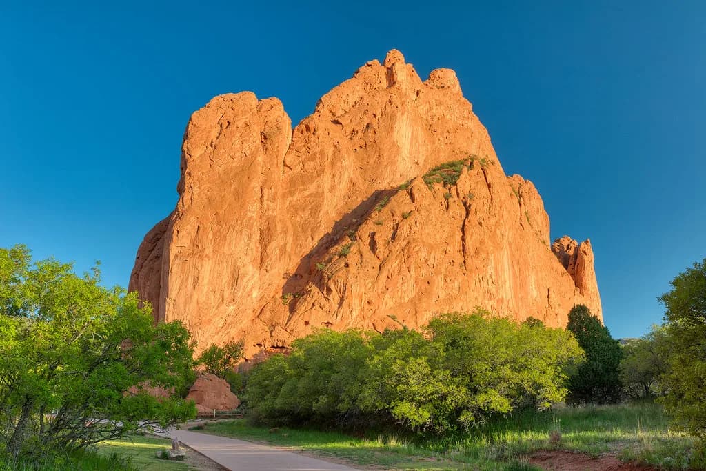 Dog-Friendly Restaurants Colorado Springs: Where to Eat
