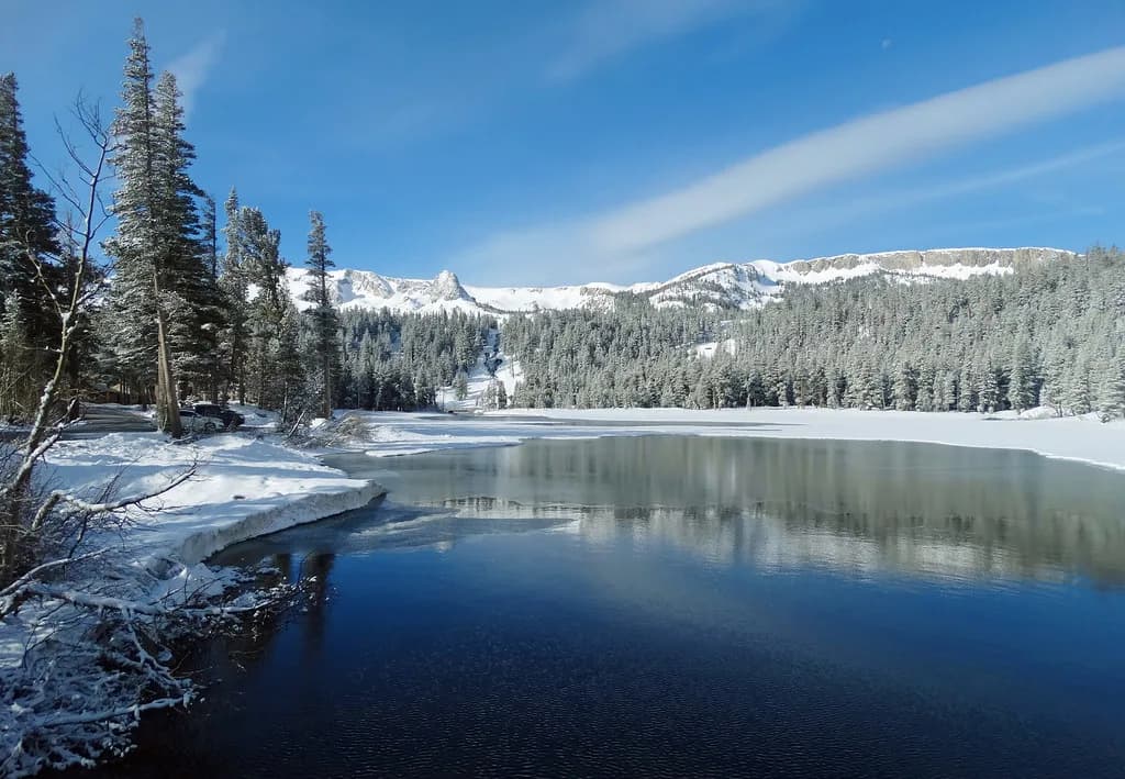 Dog-Friendly Restaurants in Mammoth Lakes: Where to Eat