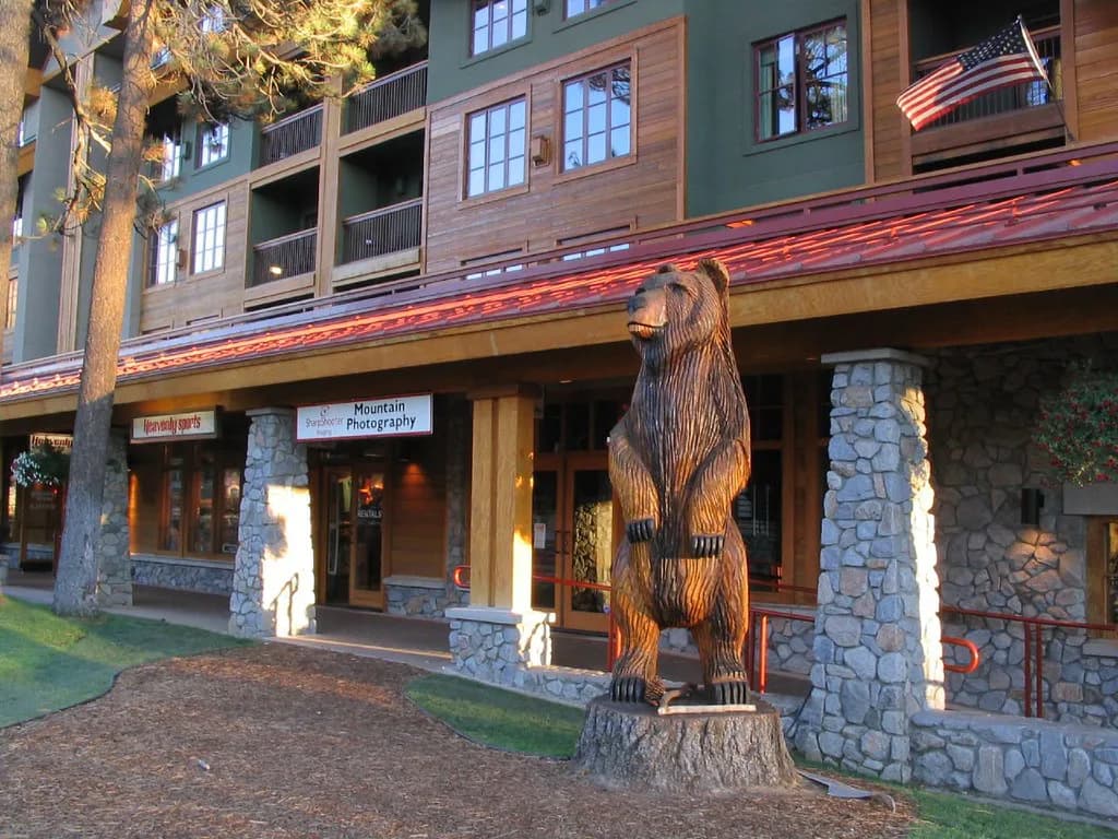 Dog-Friendly Restaurants in South Lake Tahoe: Where to Eat