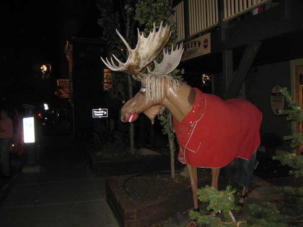 Dog-Friendly Stores Park City: Shop & Patio Guide