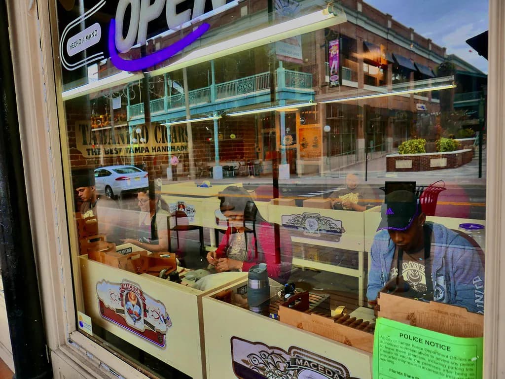 Dog-Friendly Stores in Tampa: Where Pets Are Welcome