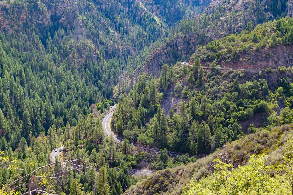 Dog-Friendly Vacation Rentals in Flagstaff, AZ: Cabins & Pet Policies