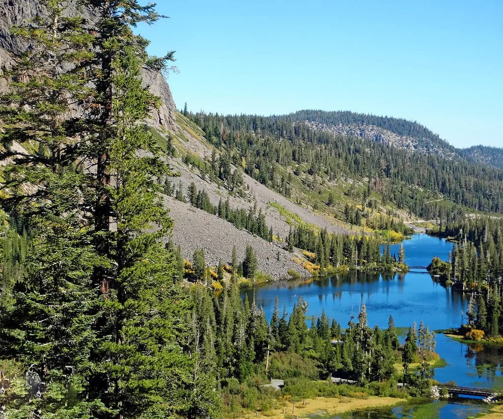 Dog-Friendly Vacation Rentals Mammoth Lakes: Book Guide