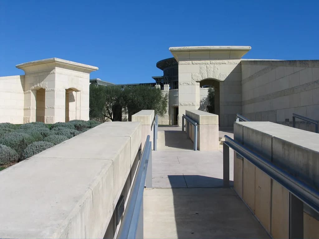 Dog-Friendly Wineries Napa: Which Are Worth Visiting