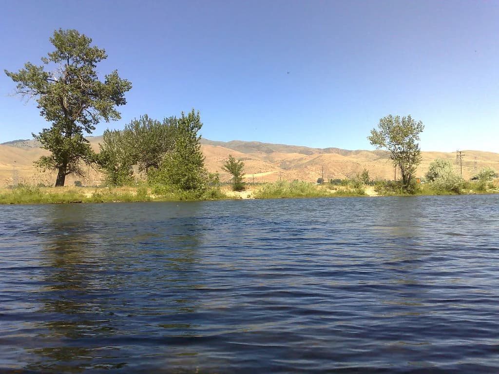 Dog Parks in Boise: Off-Leash Areas, Fenced Runs and Rules