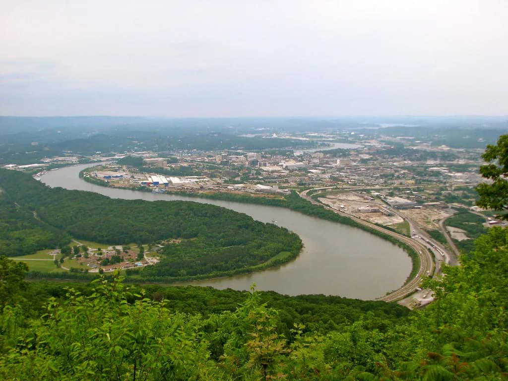 Dog Parks in Chattanooga: Pick the Best Off-Leash Spot