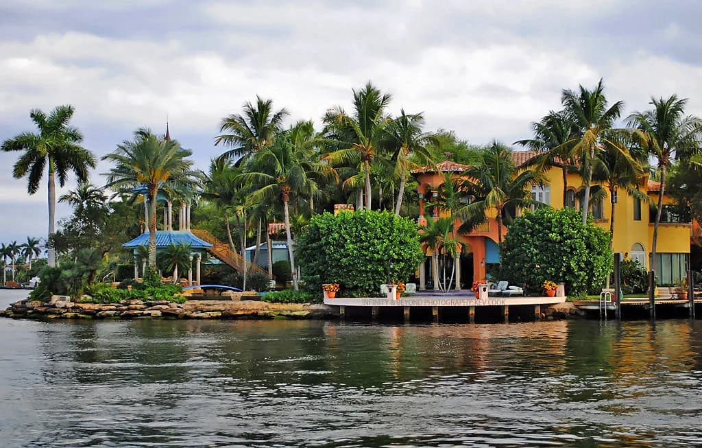 Dog Parks in Fort Lauderdale: Where to Go Off-Leash
