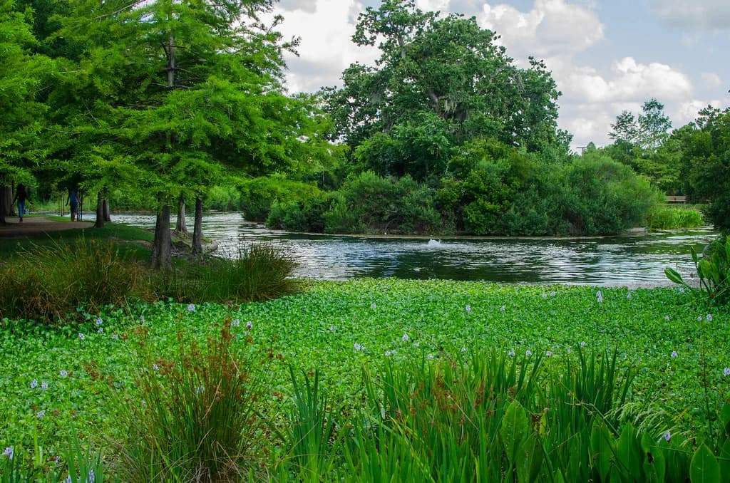 Dog Parks in Houston: Off-Leash Parks, Rules and Where to Go
