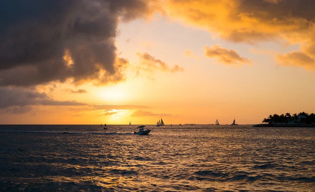 Dog Parks in Key West: Where to Go & Leash Rules