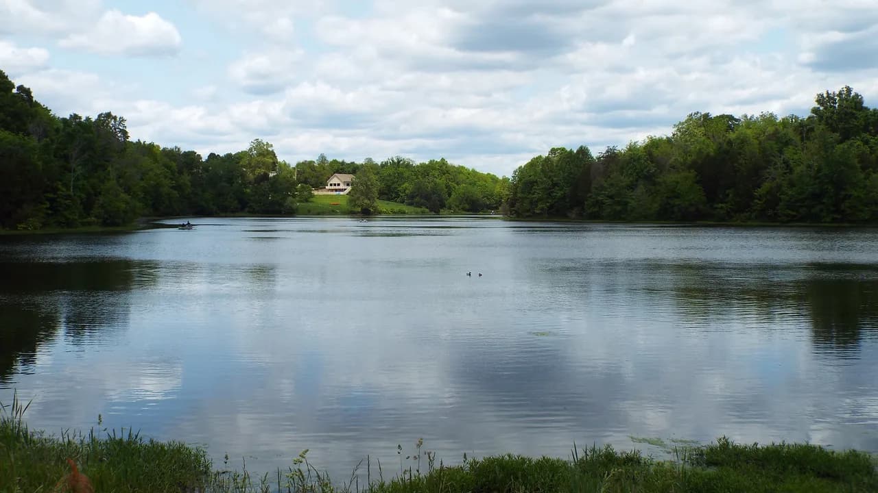 Dog Parks in Louisville: Where to Go and Permit Rules