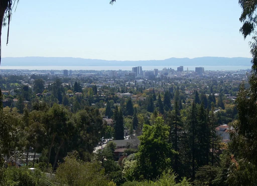 Dog Parks in Oakland: Off-Leash Areas and Leash Rules