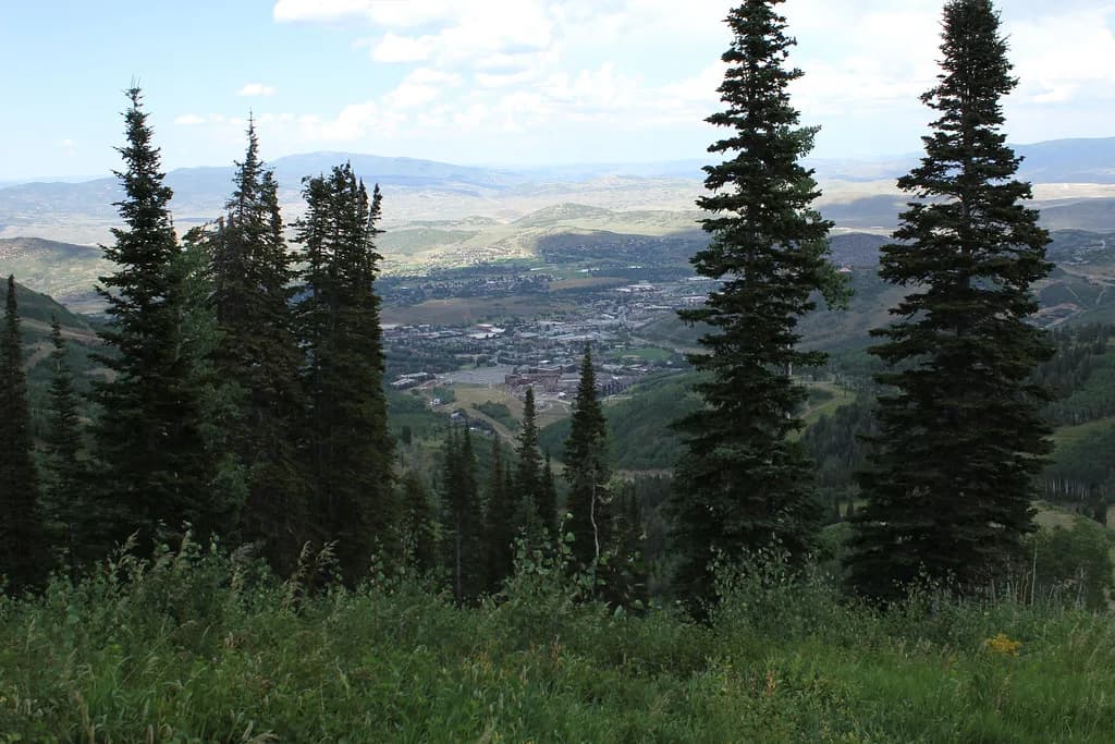 Dog Parks in Park City, UT: Off-Leash Areas and Trail Rules