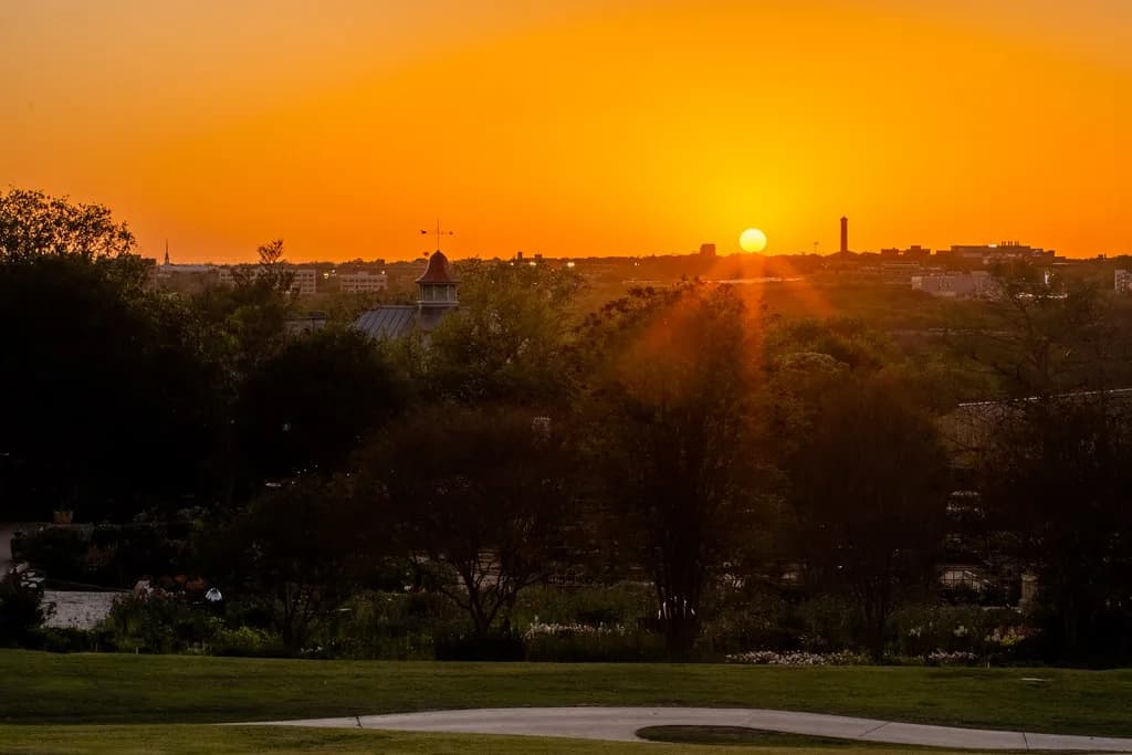 Dog Parks in San Antonio: Where to Go & Rules