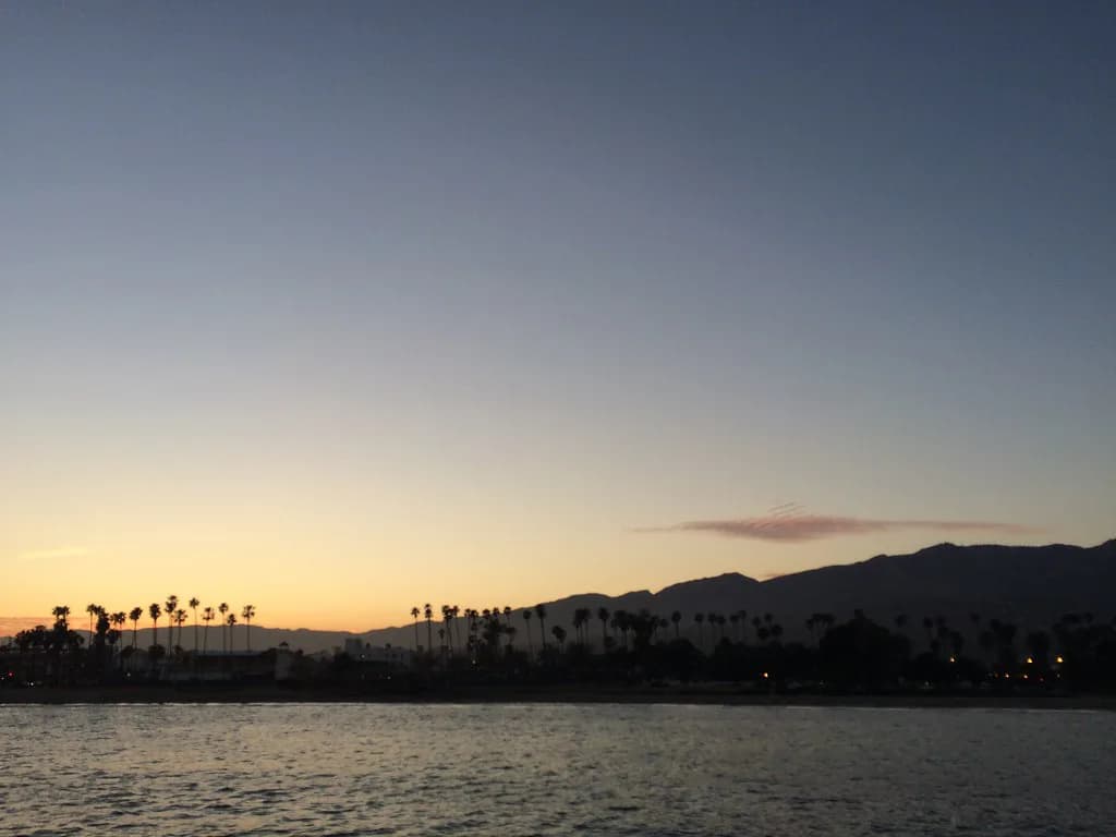Dog Parks in Santa Barbara: Off-Leash Spots and Rules
