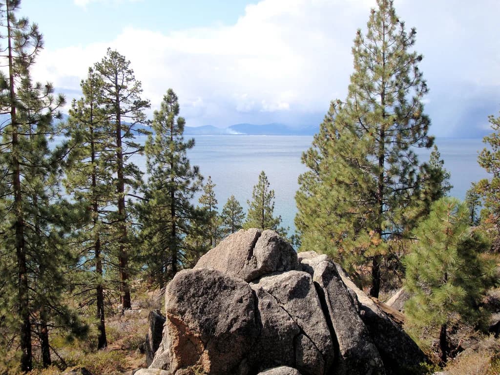 Dog Parks in South Lake Tahoe: Off-Leash Areas and Rules