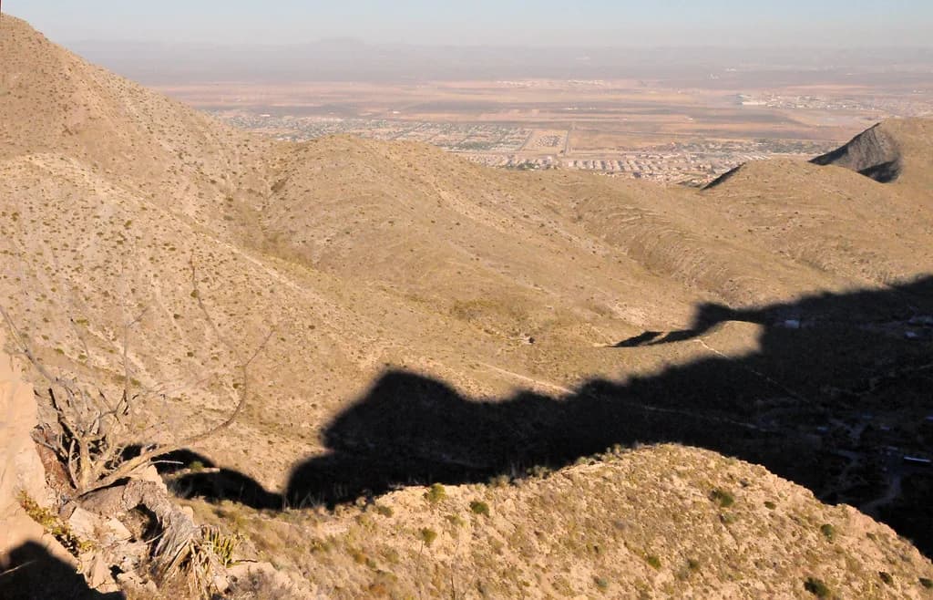 Dog-Friendly El Paso: Where to Stay and Eat With Your Dog