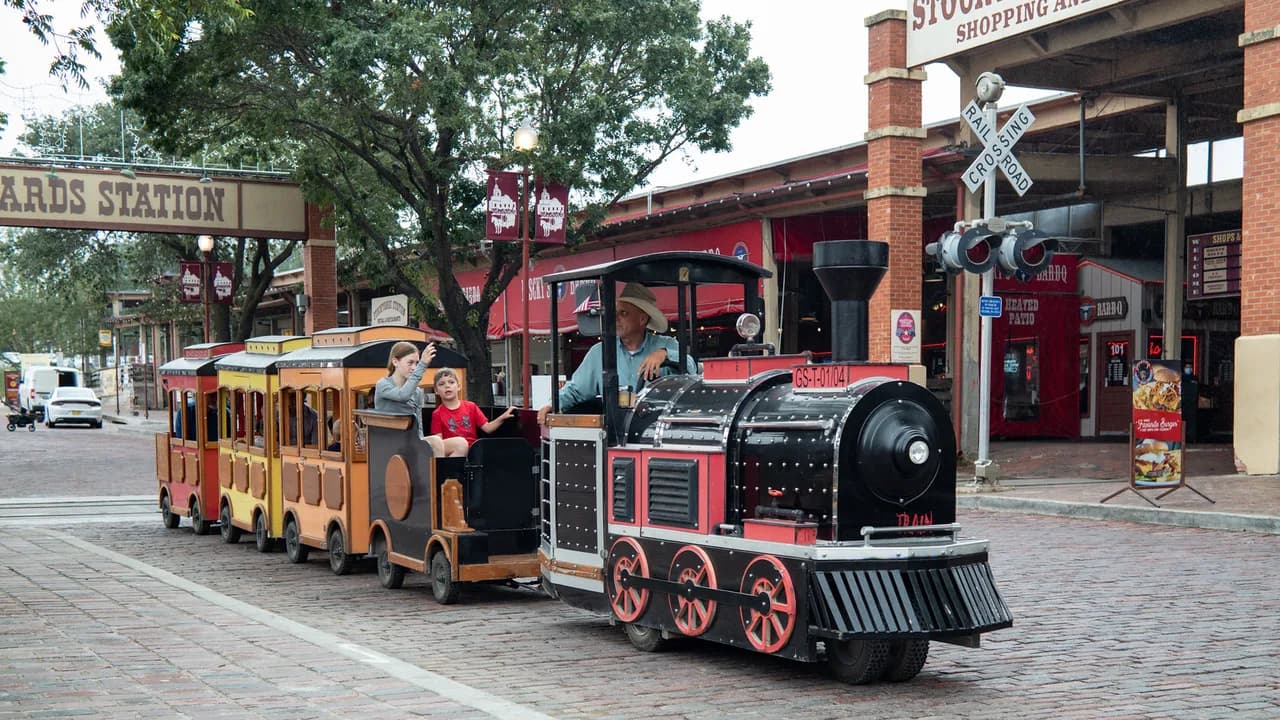Dog-Friendly Fort Worth: Parks, Patios, Trails and Stays