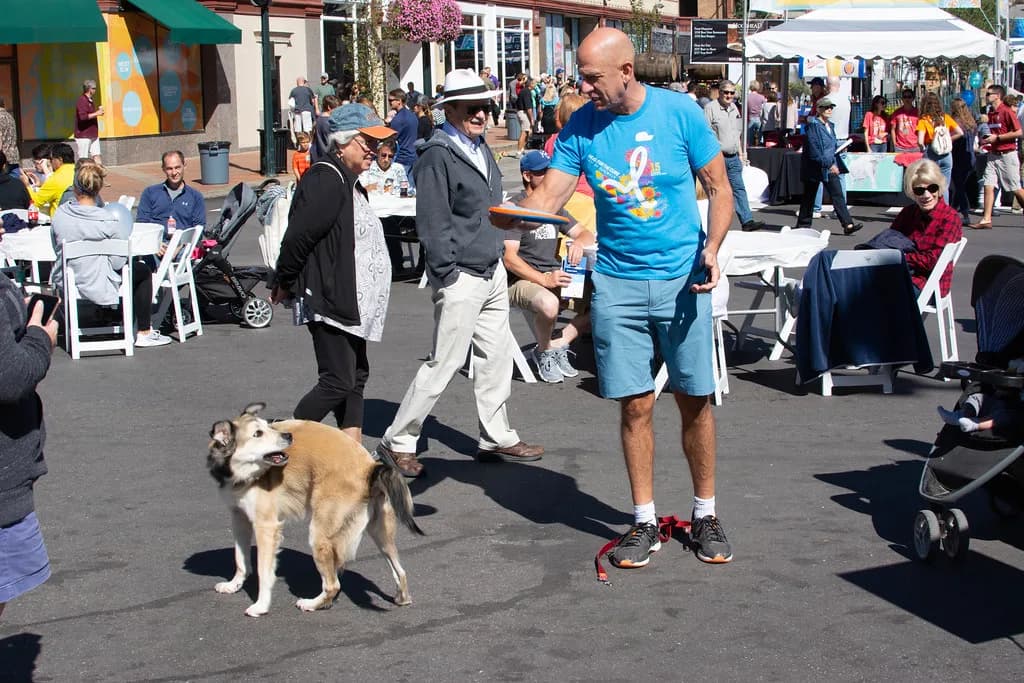 Dog-Friendly Kansas City: Patios, Parks, Stores and Stays