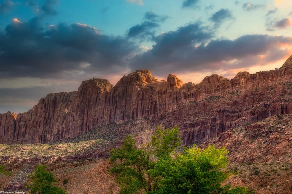 Dog-Friendly Moab Guide: Where to Hike, Eat, Stay and Camp
